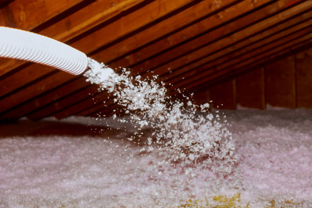 Loch Lomond, VA Insulation Contractor Pros