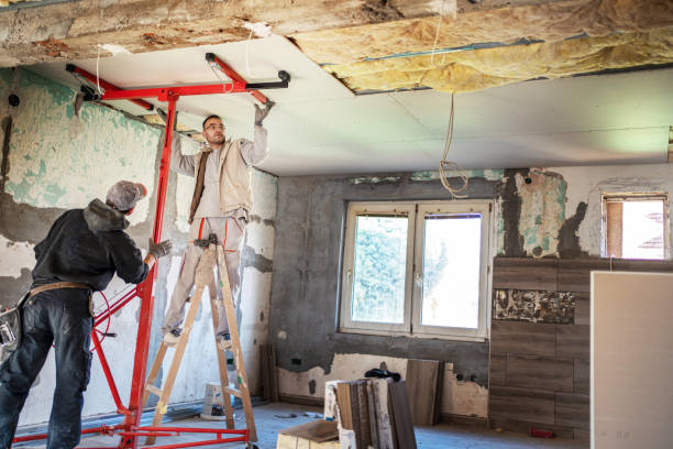 Best Insulation Installation Services in Loch Lomond, VA